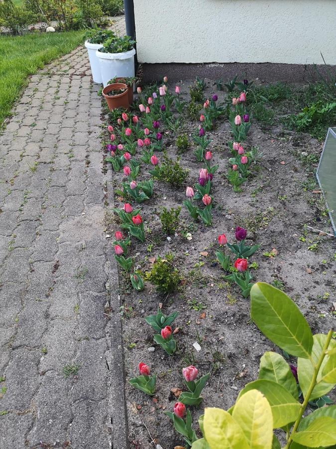 Fewo Renken Trassenheide Exterior foto